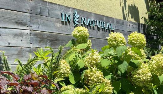 小田原店限定『植物のお手入れ講習会 〜 Vol.3〜』